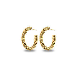 Orecchini Fabiani a Cerchio in Argento 925