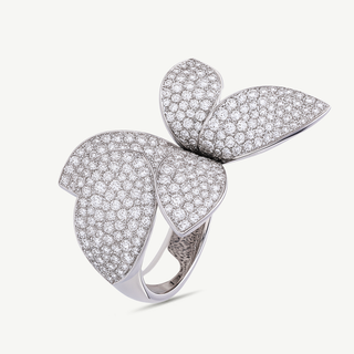 Anello giardini segreti Pasquale Bruni - Misura 11