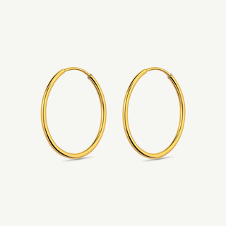 Orecchini Fabiani Cerchio in Argento 925