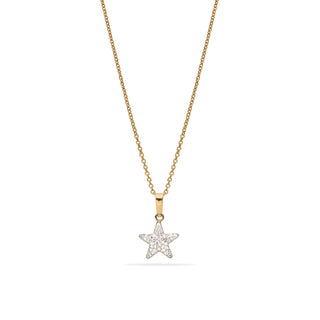 Collana Fabiani in argento con pendente stella in oro giallo 18Kt - Fabiani Gioiellerie