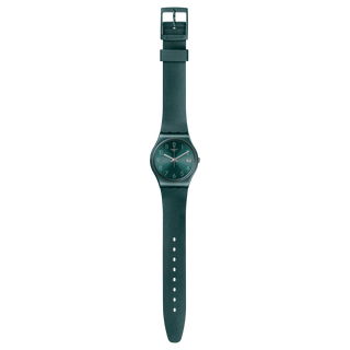 Swatch Ashbaya Watch