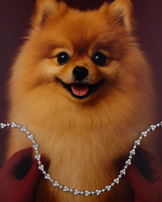 Calendario dell’Avvento Fabiani Acciaio Bianco