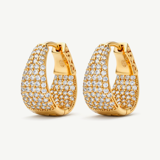 Orecchini Fabiani a Cerchio in Argento