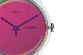 Orologio Swatch Polared