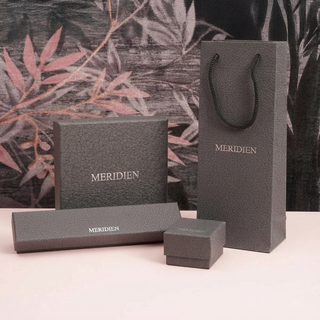 Collana Meridien in acciaio con stelline